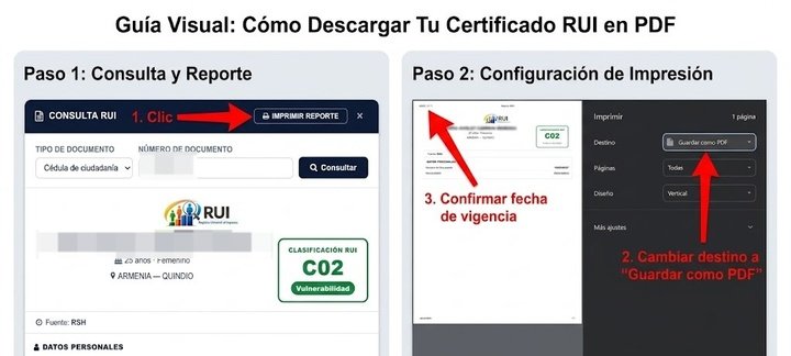 descargar Certificado RUI